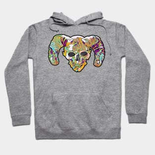 BUBBLEGUM DEMON SKULL Hoodie